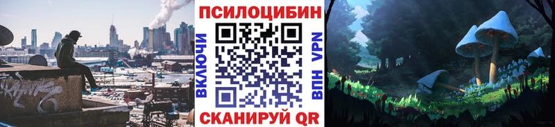 kraken ссылки  Орехово-Зуево  shop клад  Галлюциногенные грибы мицелий 