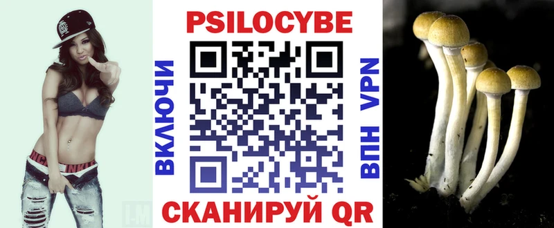 Галлюциногенные грибы Psilocybine cubensis Орехово-Зуево